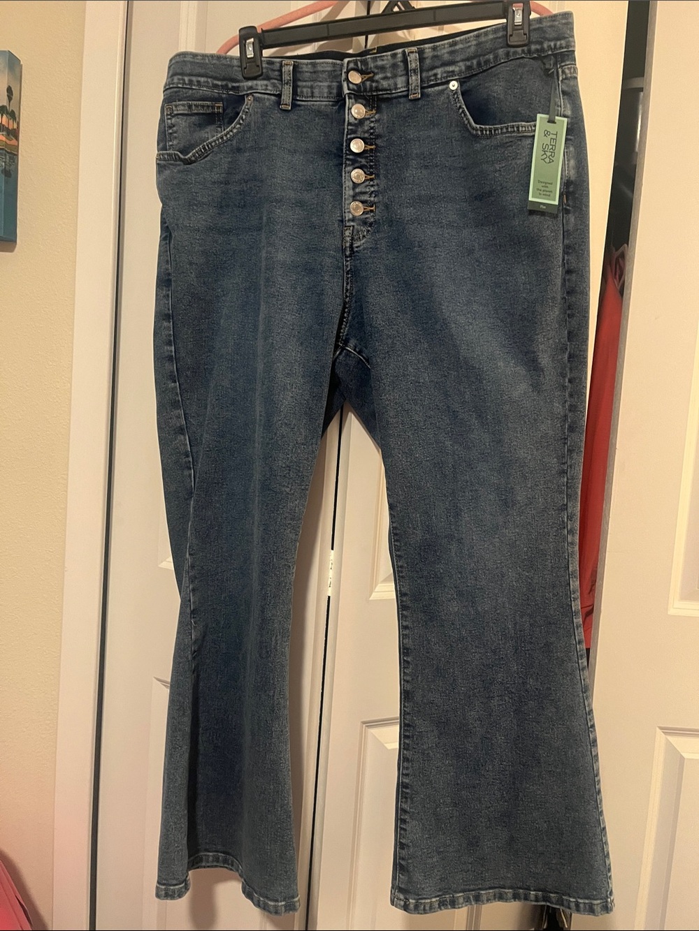 Terra & Sky Button-Fly Midwash Blue Flare Jeans